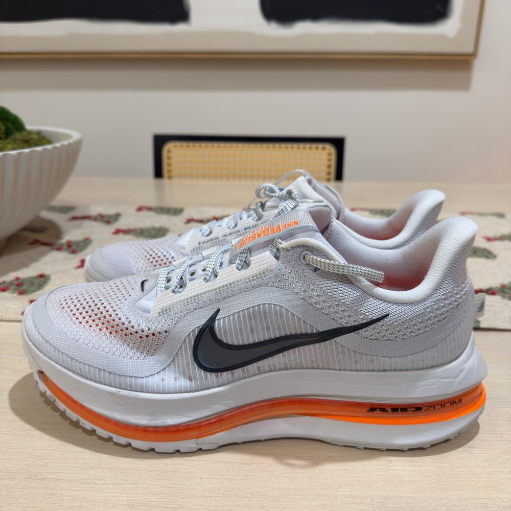 Nike Air Zoom Pegasus Premium "Airscape" Size 10.5